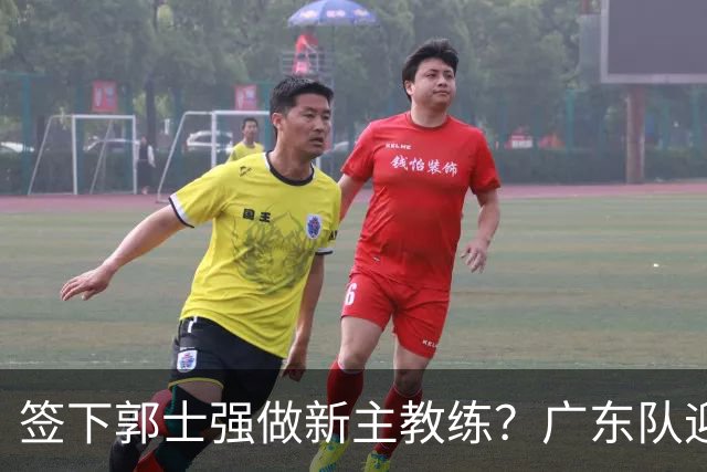 签下郭士强做新主教练？广东队迎来换帅机会，杜锋有望执教国家队